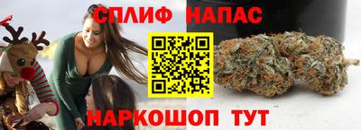 прущие грибы Ликино-Дулёво