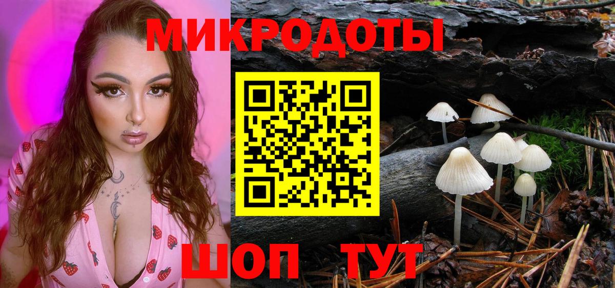 Псилоцибиновые грибы Cubensis Вышний Волочёк