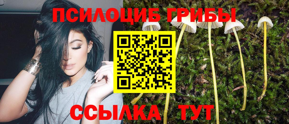 цены   Псилоцибиновые грибы мицелий  Вышний Волочёк  Вход с VPN  Галлюциногенные грибы GOLDEN TEACHER 
